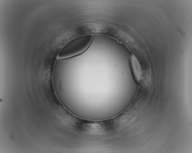 X0000111430509200907131226