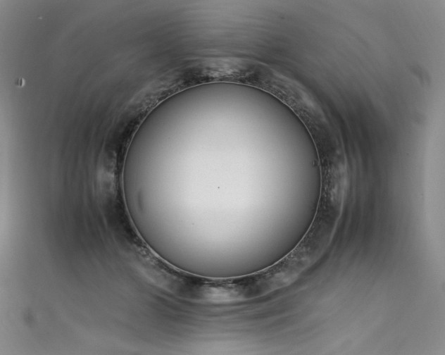 X0000111430510200907131226