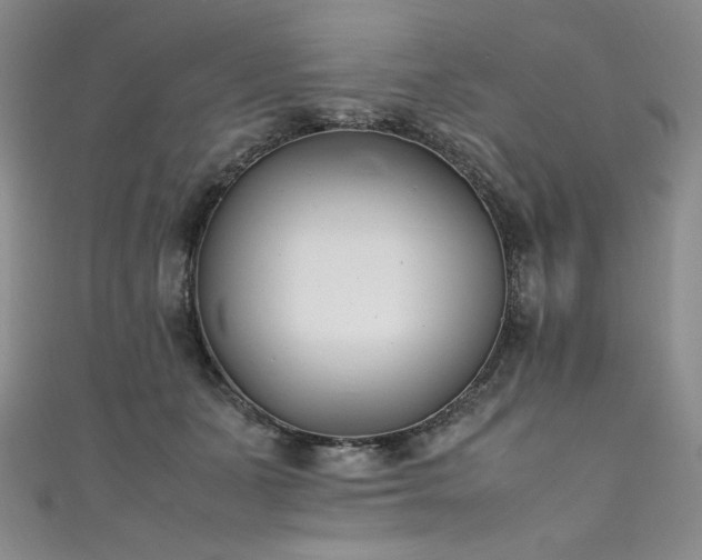 X0000111430511200907131226