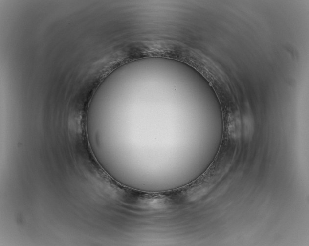X0000111430514200907131226