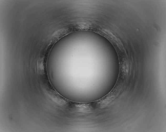X0000111430516200907131226