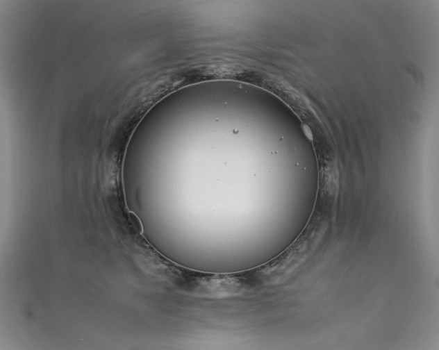 X0000111430517200907131226