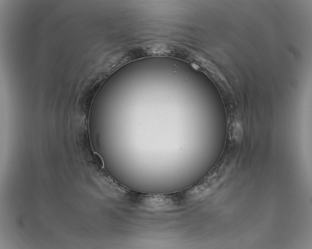 X0000111430521200907131226