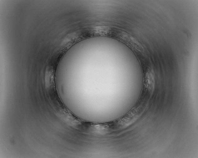 X0000111430522200907131226