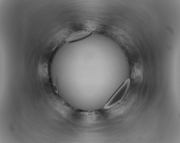 X0000111430524200907131225