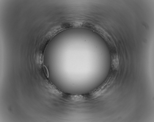 X0000111430525200907131225