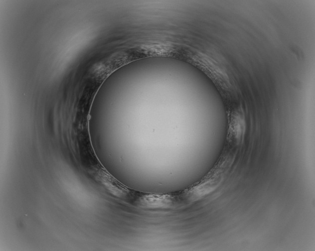 X0000111430526200907131225