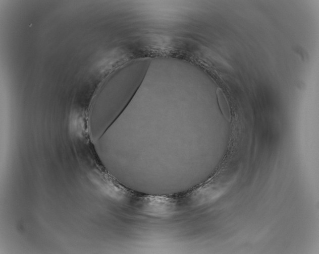X0000111430528200907131225