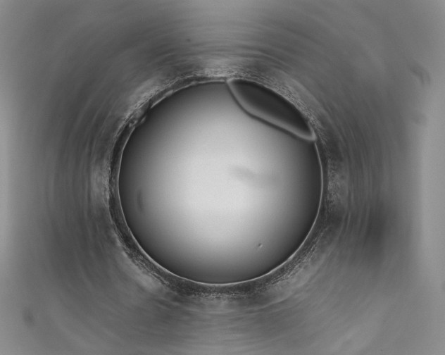 X0000111430530200907131225