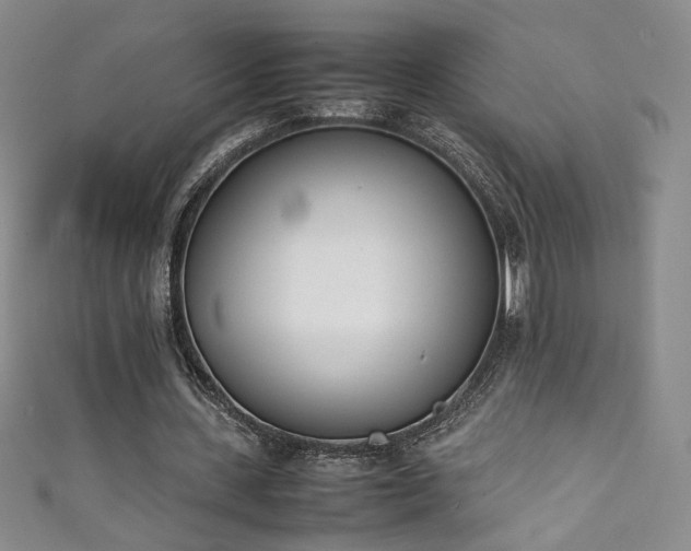 X0000111430531200907131225