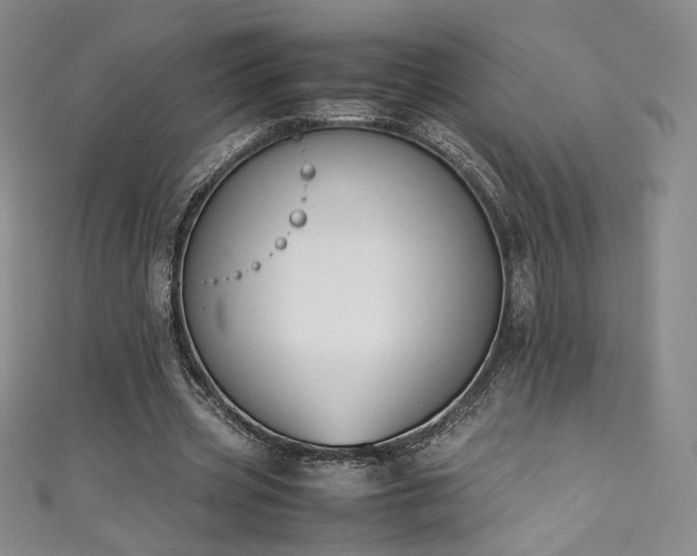 X0000111430533200907131225
