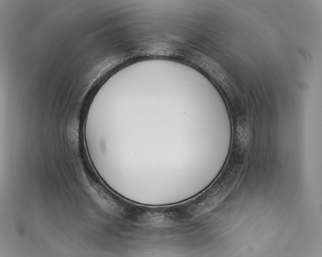 X0000111430534200907131225