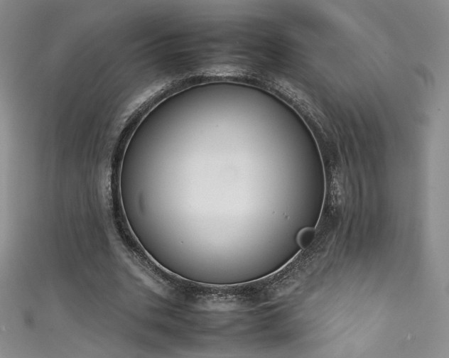 X0000111430535200907131225