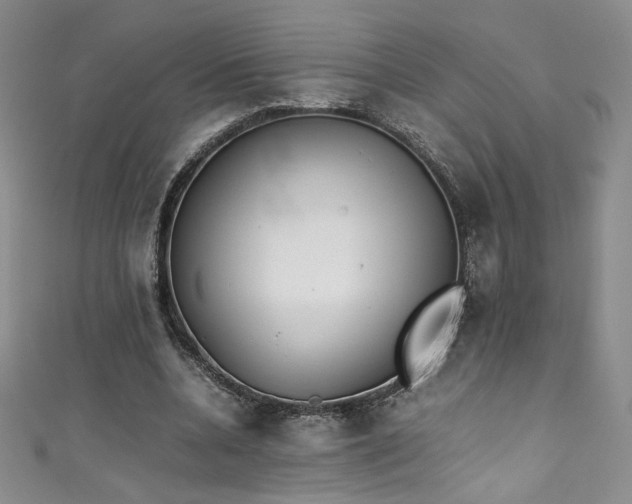 X0000111430536200907131225
