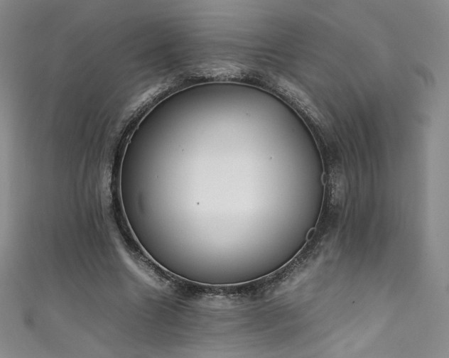 X0000111430538200907131225