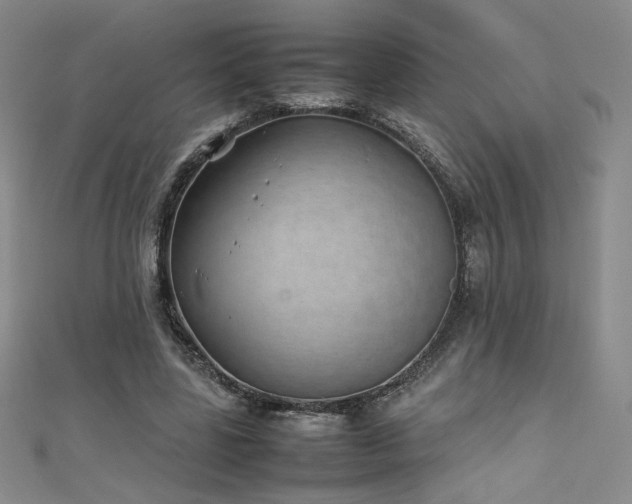 X0000111430539200907131225