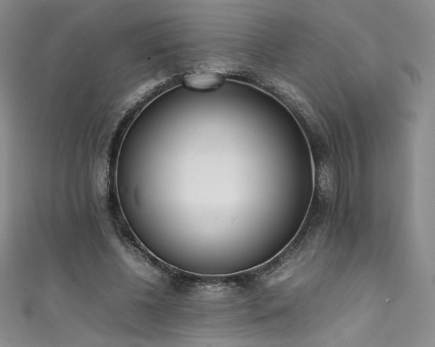 X0000111430540200907131225