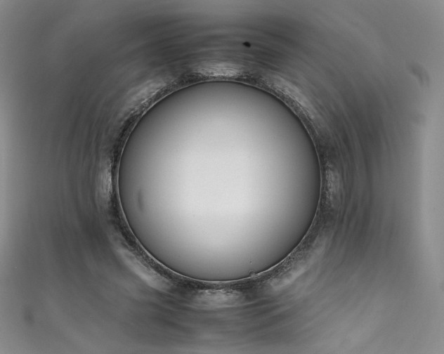 X0000111430541200907131225