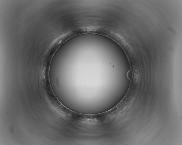 X0000111430543200907131225