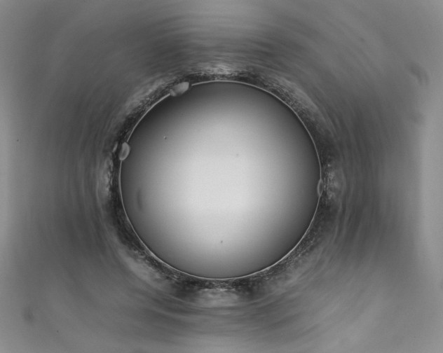 X0000111430544200907131225