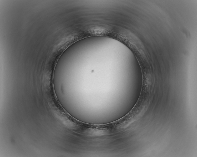 X0000111430545200907131225