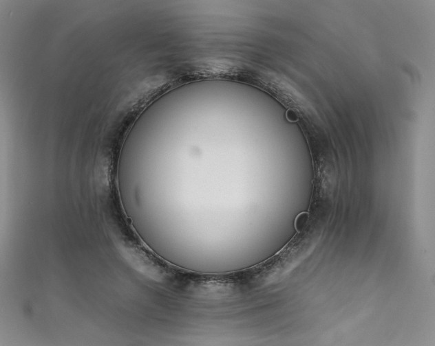 X0000111430546200907131225