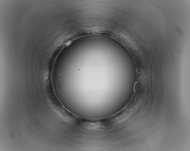 X0000111430548200907131225