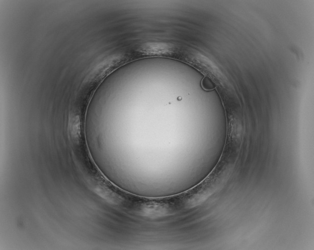 X0000111430549200907131225