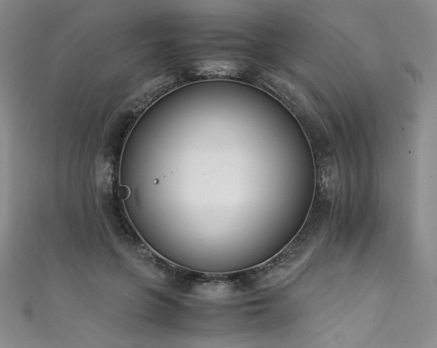 X0000111430551200907131225