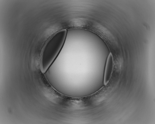 X0000111430552200907131225
