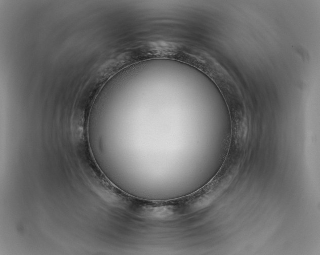 X0000111430553200907131225