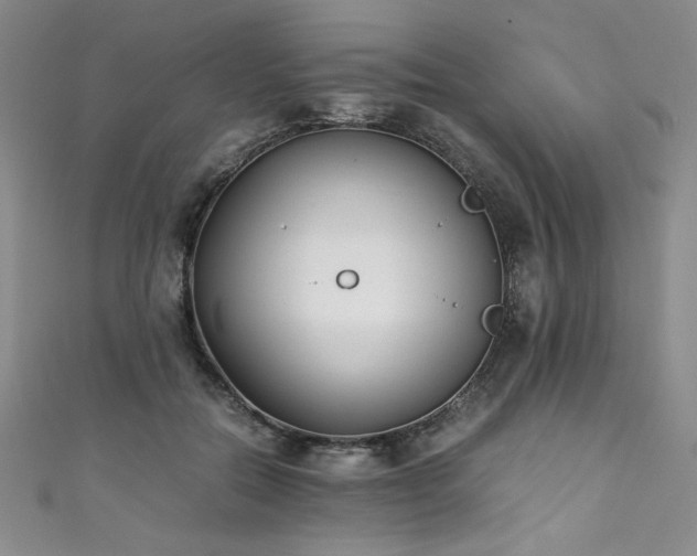 X0000111430554200907131225