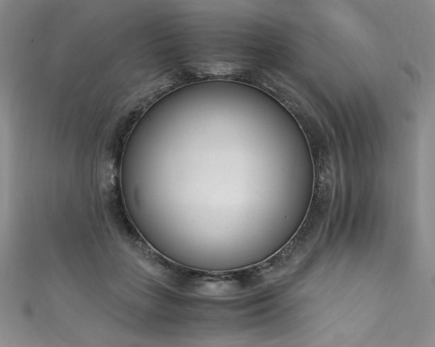 X0000111430555200907131225