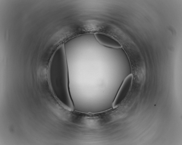X0000111430556200907131225