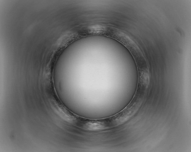 X0000111430557200907131225