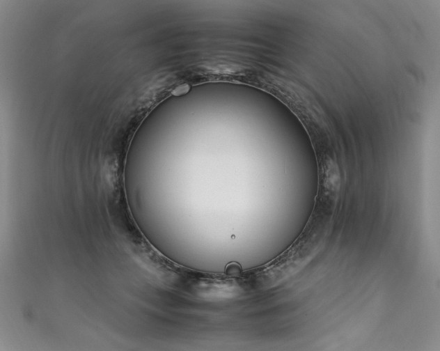 X0000111430559200907131225