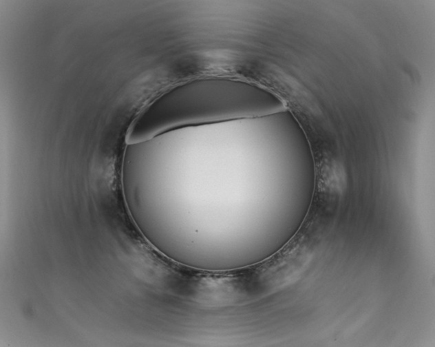 X0000111430560200907131225