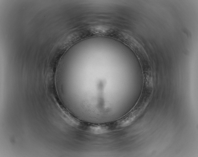 X0000111430561200907131225