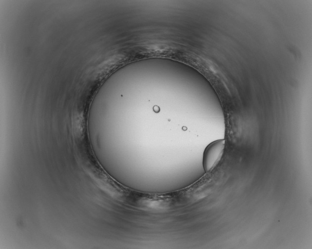 X0000111430563200907131225