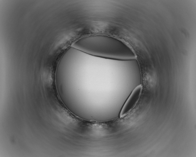 X0000111430566200907131225