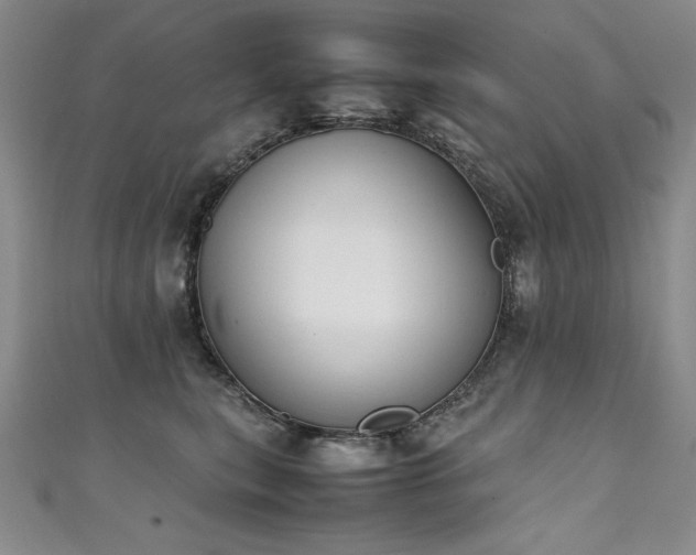 X0000111430567200907131225