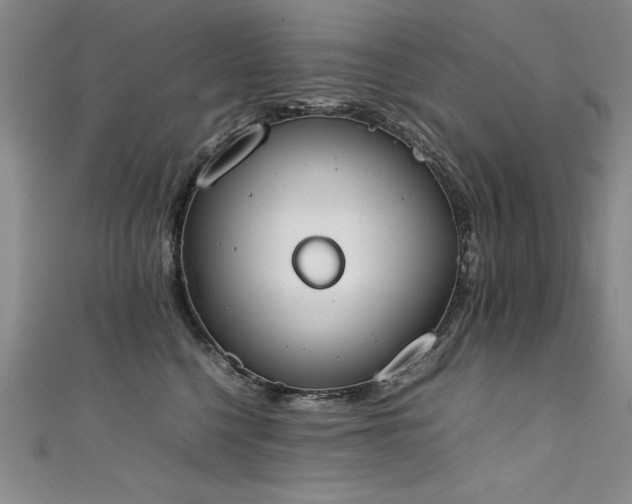 X0000111430568200907131225