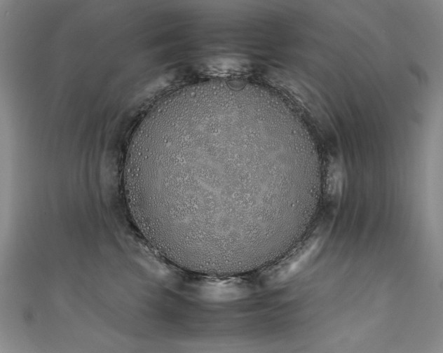 X0000111430569200907131225