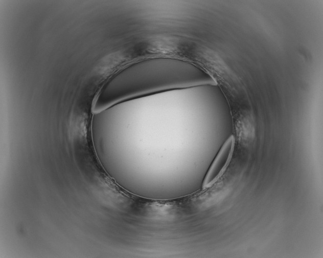 X0000111430570200907131225