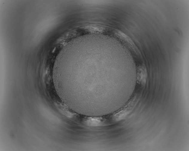 X0000111430573200907131225