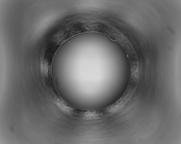 X0000111430574200907131225