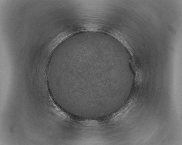 X0000111430577200907131225