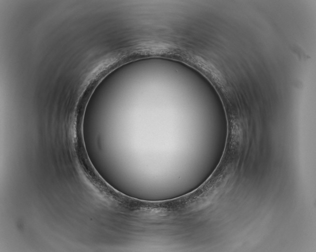 X0000111430582200907131225