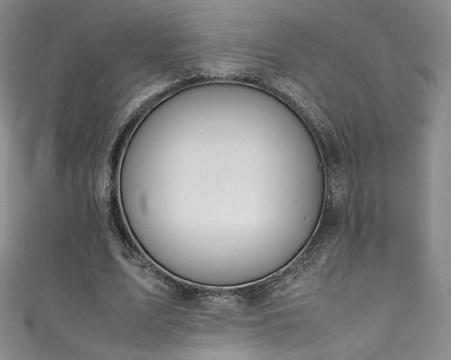 X0000111430583200907131225