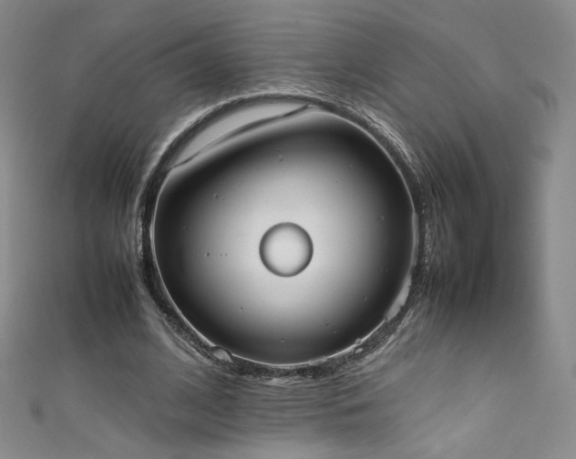X0000111430584200907131225